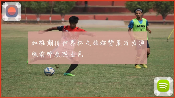 加维期待世界杯之旅称赞莱万为顶级前锋表现出色